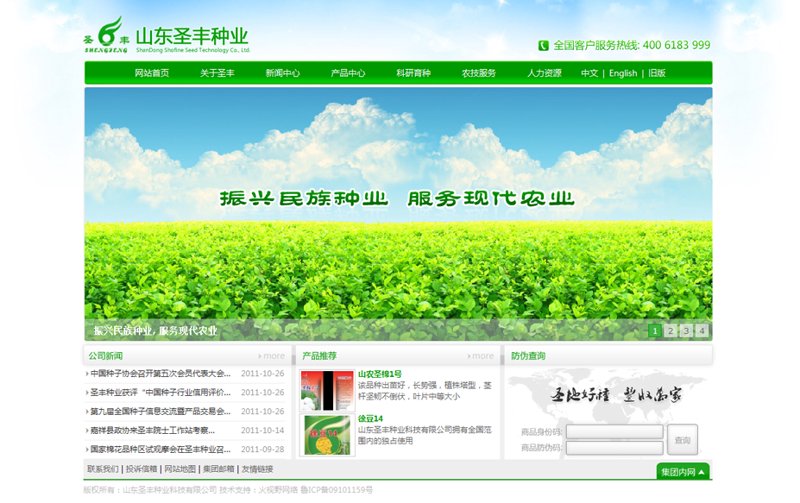 互联网时代的域名注册：价值与选择